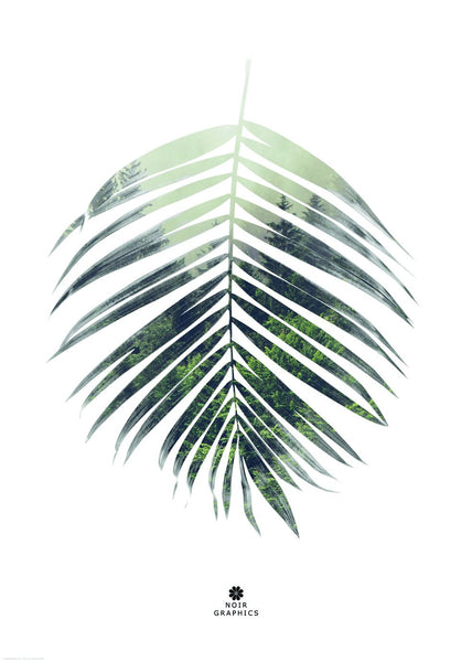 Palm leaf | INDRAMMET BILLEDE Indrammet billede ART COPENHAGEN   