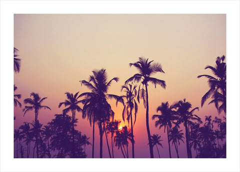 Palm sky 1 | PLAKAT