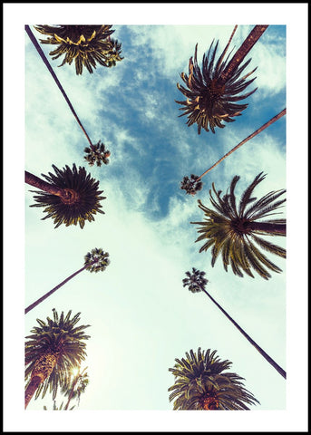 Palm sky 2 | INDRAMMET BILLEDE Indrammet billede ART COPENHAGEN 30x40 Sort 