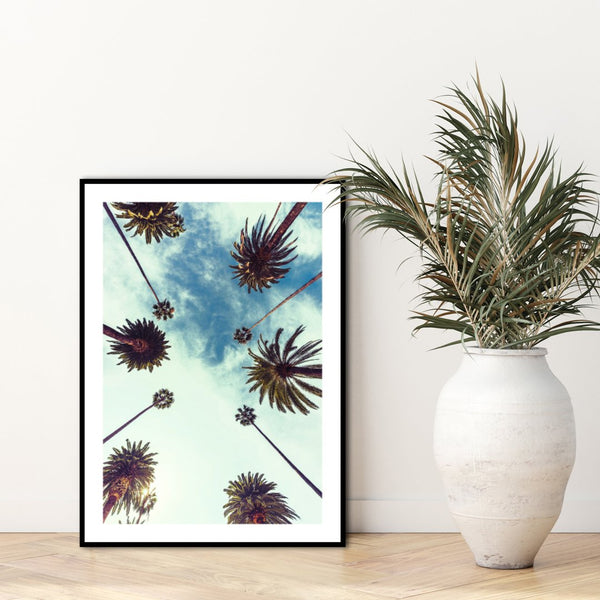 Palm sky 2 | INDRAMMET BILLEDE Indrammet billede ART COPENHAGEN   