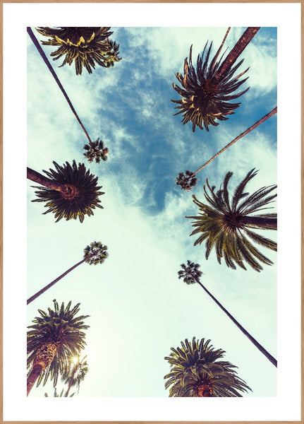 Palm sky 2 | INDRAMMET BILLEDE Indrammet billede ART COPENHAGEN 30x40 Egeramme 
