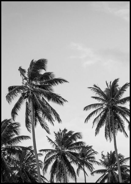 Palms in grey | INDRAMMET BILLEDE Indrammet billede ART COPENHAGEN 30x40 Sort 