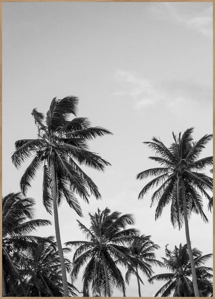 Palms in grey | INDRAMMET BILLEDE Indrammet billede ART COPENHAGEN 30x40 Egeramme 