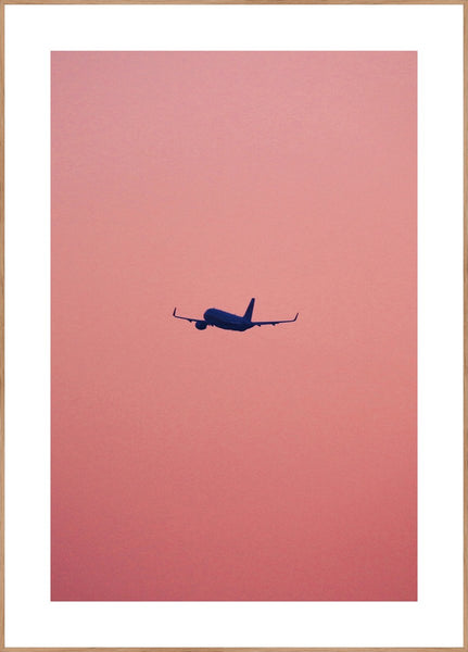 Pink flight | INDRAMMET BILLEDE Indrammet billede ART COPENHAGEN 30x40 Egeramme 