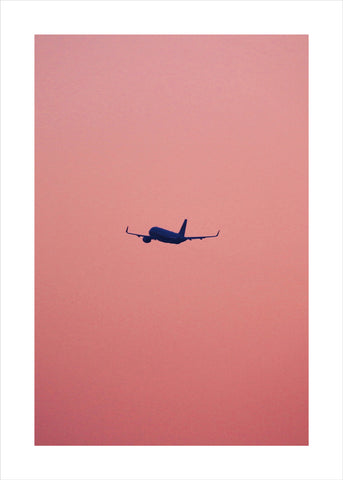 Pink flight | PLAKAT