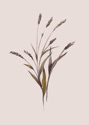 Wheat | PLAKAT Plakat MALERIFABRIKKEN   