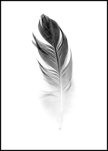 Soft Feather | INDRAMMET BILLEDE Indrammet billede ART COPENHAGEN 30x40 Sort 