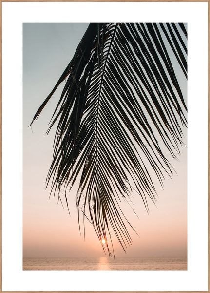 Sunset leaves | INDRAMMET BILLEDE Indrammet billede ART COPENHAGEN 30x40 Egeramme 