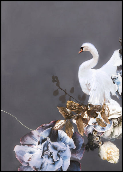 Swan Gold 1 | INDRAMMET BILLEDE Indrammet billede ART COPENHAGEN   