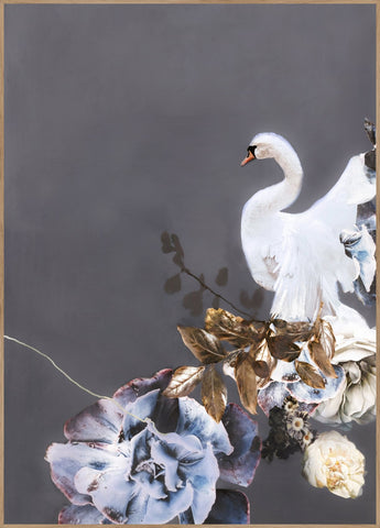 Swan Gold 1 | INDRAMMET BILLEDE