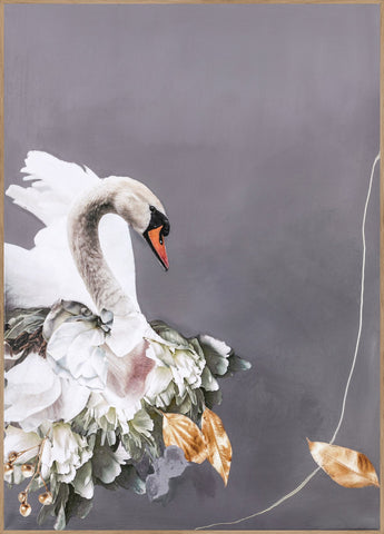Swan Gold 2 | INDRAMMET BILLEDE Indrammet billede ART COPENHAGEN   