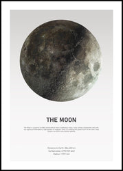 The Moon Light | INDRAMMET BILLEDE Indrammet billede ART COPENHAGEN 30x40 Sort 