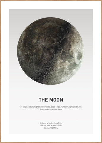 The Moon Light | INDRAMMET BILLEDE Indrammet billede ART COPENHAGEN 30x40 Egeramme 
