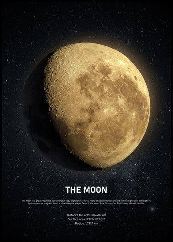 The Moon | INDRAMMET BILLEDE