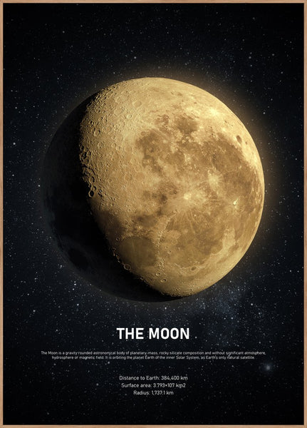 The Moon | INDRAMMET BILLEDE Indrammet billede ART COPENHAGEN 30x40 Egeramme 