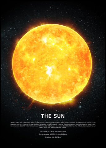 The Sun | INDRAMMET BILLEDE