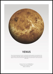 Venus Light | INDRAMMET BILLEDE Indrammet billede ART COPENHAGEN 30x40 Sort 