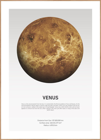Venus Light | INDRAMMET BILLEDE Indrammet billede ART COPENHAGEN 30x40 Egeramme 