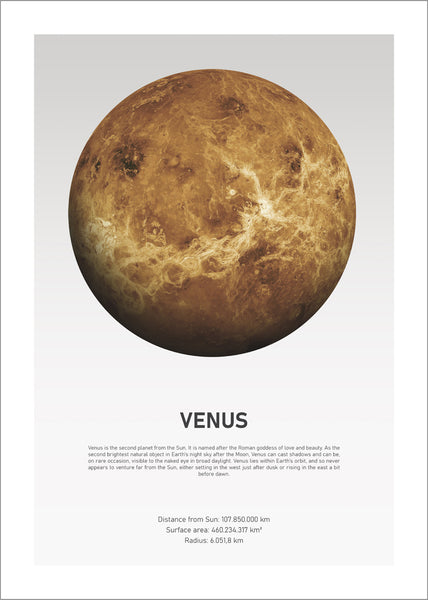 Venus Light | PLAKAT Plakat ART COPENHAGEN   