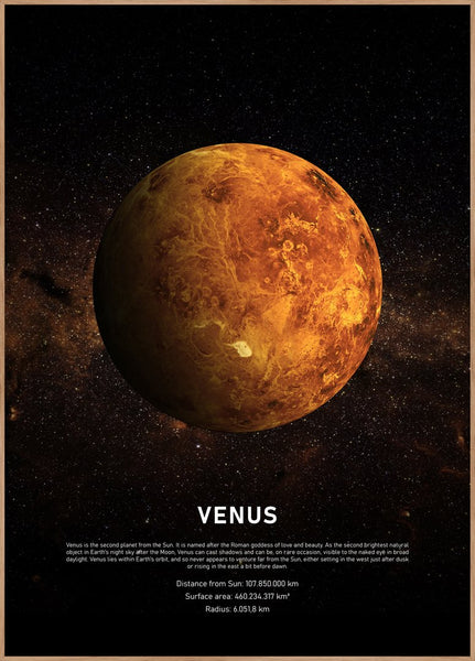 Venus | INDRAMMET BILLEDE Indrammet billede ART COPENHAGEN 30x40 Egeramme 