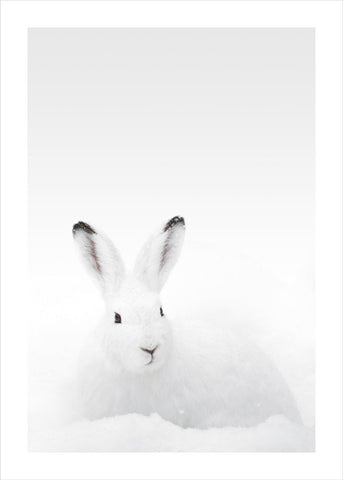 White Rabbit | PLAKAT Plakat ART COPENHAGEN   