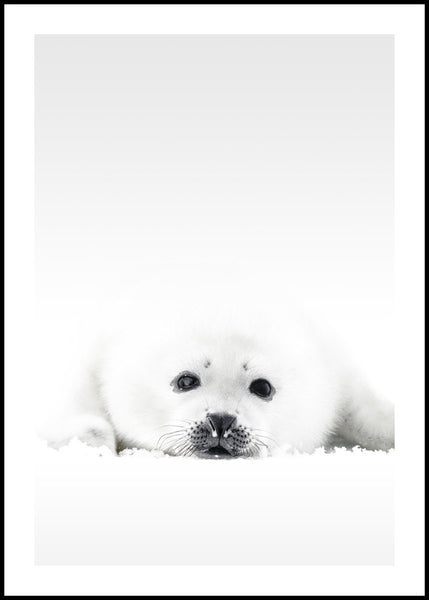 White Seal | INDRAMMET BILLEDE Indrammet billede ART COPENHAGEN 30x40 Sort 