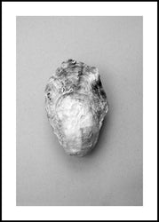 Oyster 1 | INDRAMMET BILLEDE Indrammet billede ART COPENHAGEN 30x40 Sort 