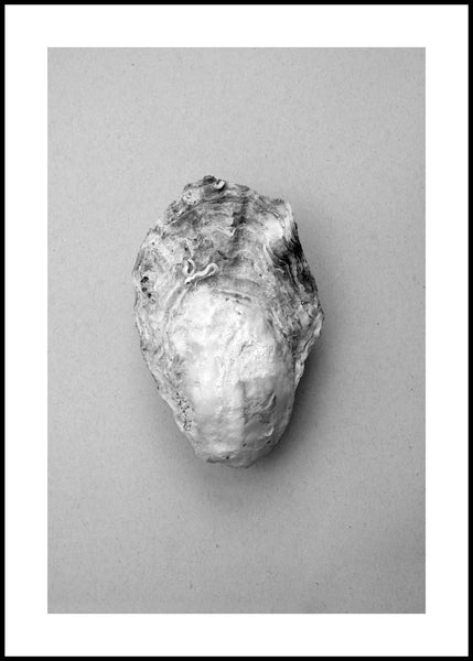 Oyster 1 | INDRAMMET BILLEDE Indrammet billede ART COPENHAGEN 30x40 Sort 