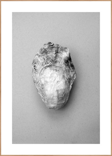 Oyster 1 | INDRAMMET BILLEDE Indrammet billede ART COPENHAGEN 30x40 Egeramme 
