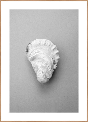 Oyster 2 | INDRAMMET BILLEDE Indrammet billede ART COPENHAGEN 30x40 Egeramme 