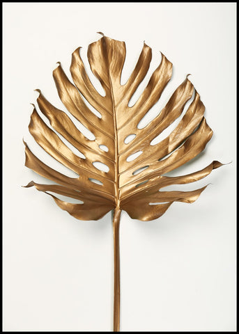 Monstrea Gold Leaf | INDRAMMET BILLEDE Indrammet billede ART COPENHAGEN 30x40 Sort 