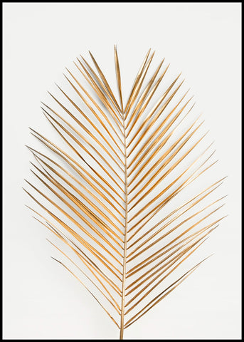 Palm Leaf Gold | INDRAMMET BILLEDE Indrammet billede ART COPENHAGEN 30x40 Sort 