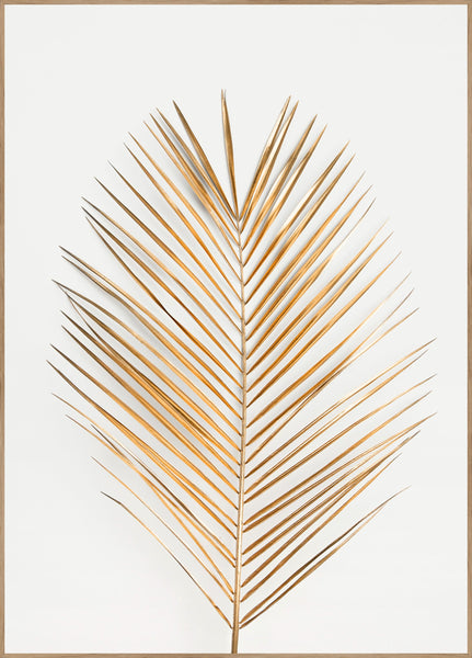 Palm Leaf Gold | INDRAMMET BILLEDE Indrammet billede ART COPENHAGEN 30x40 Egeramme 
