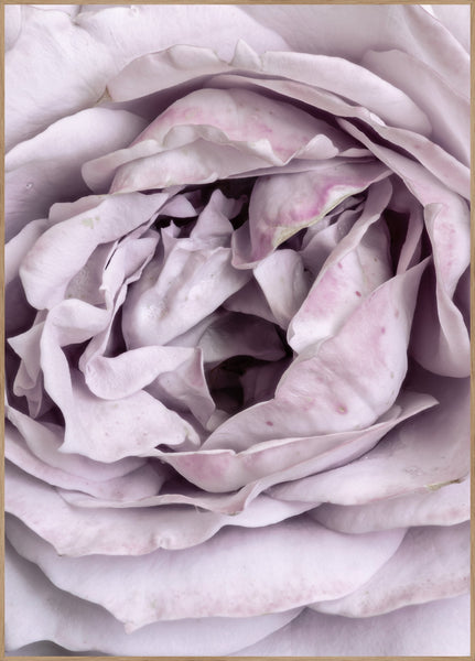 Rose Heart | INDRAMMET BILLEDE Indrammet billede ART COPENHAGEN   